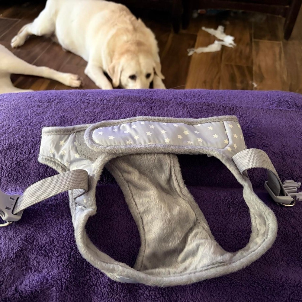 Dog harness